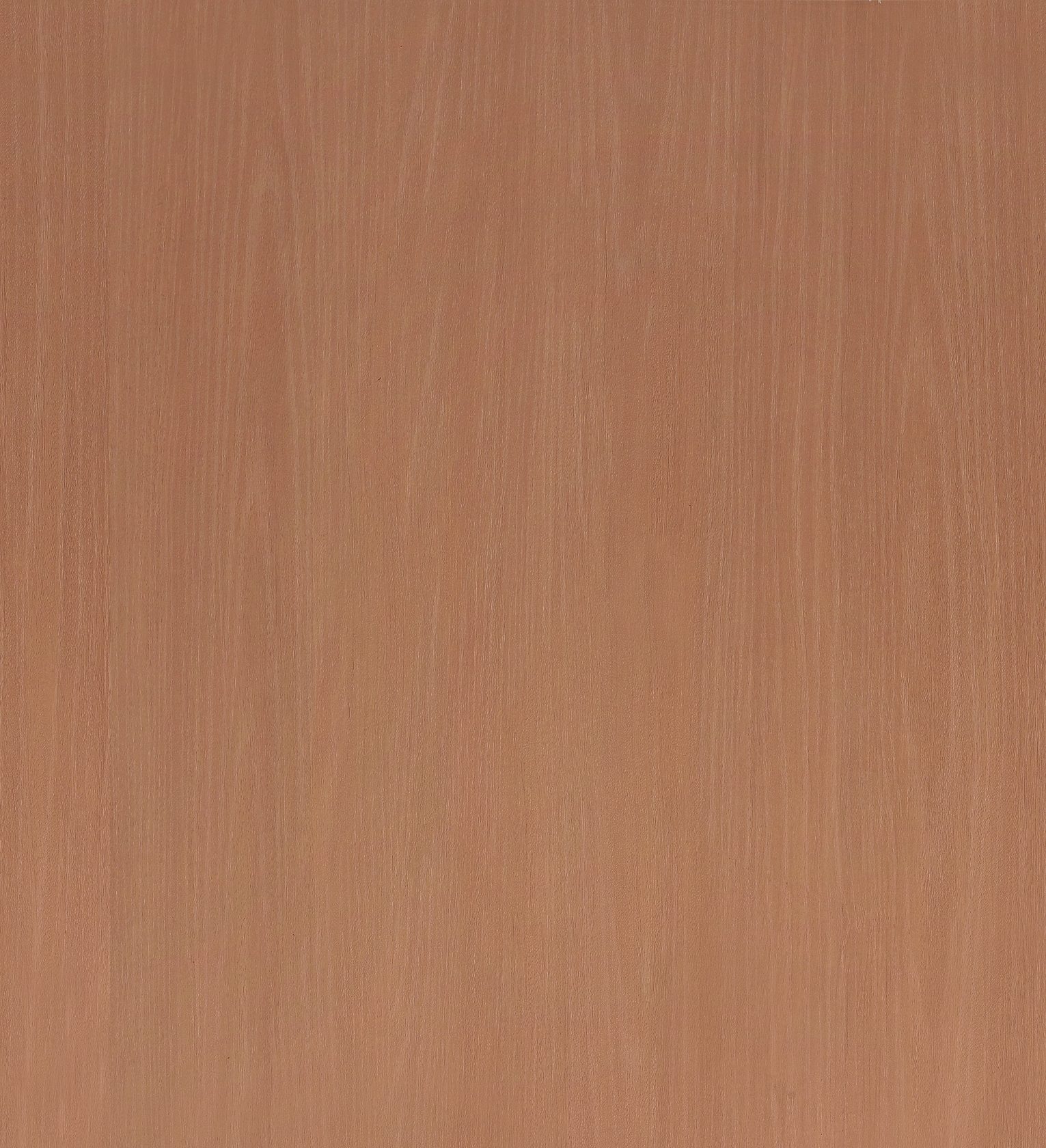 古橡逢春