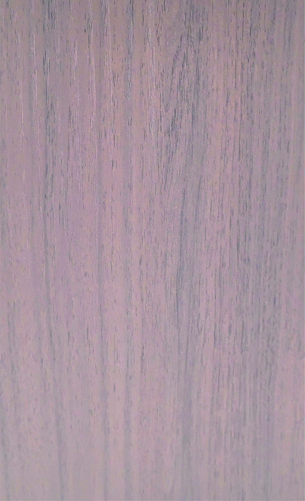RY-西西里榆木